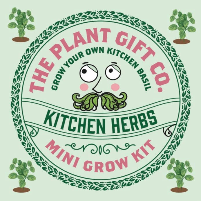 Kitchen Herb. Eco Mini Basil Grow Kit.