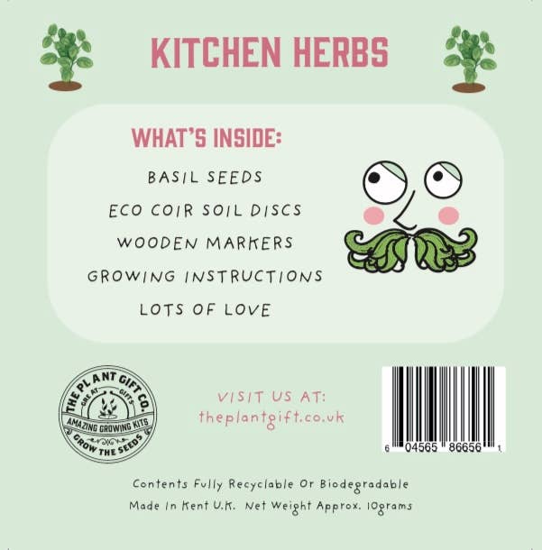 Kitchen Herb. Eco Mini Basil Grow Kit.