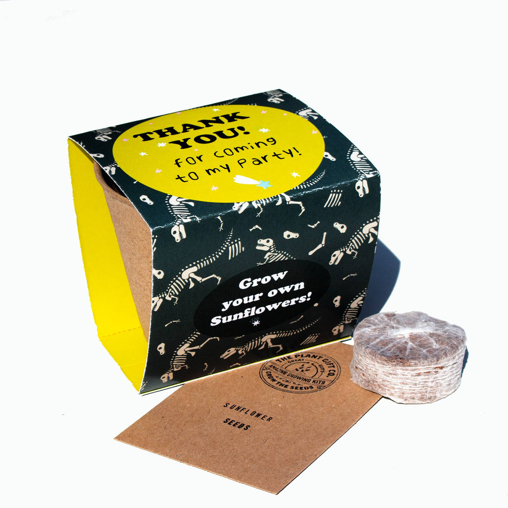 Packs of 6. Thank you for coming to my party! Sunflowers.