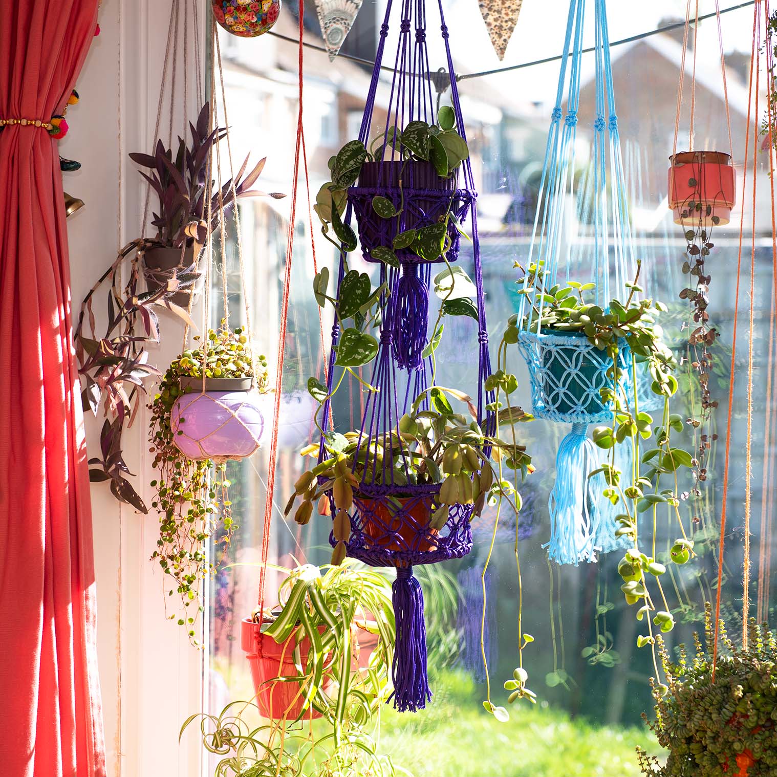 Bright Macrame Plant Hanger