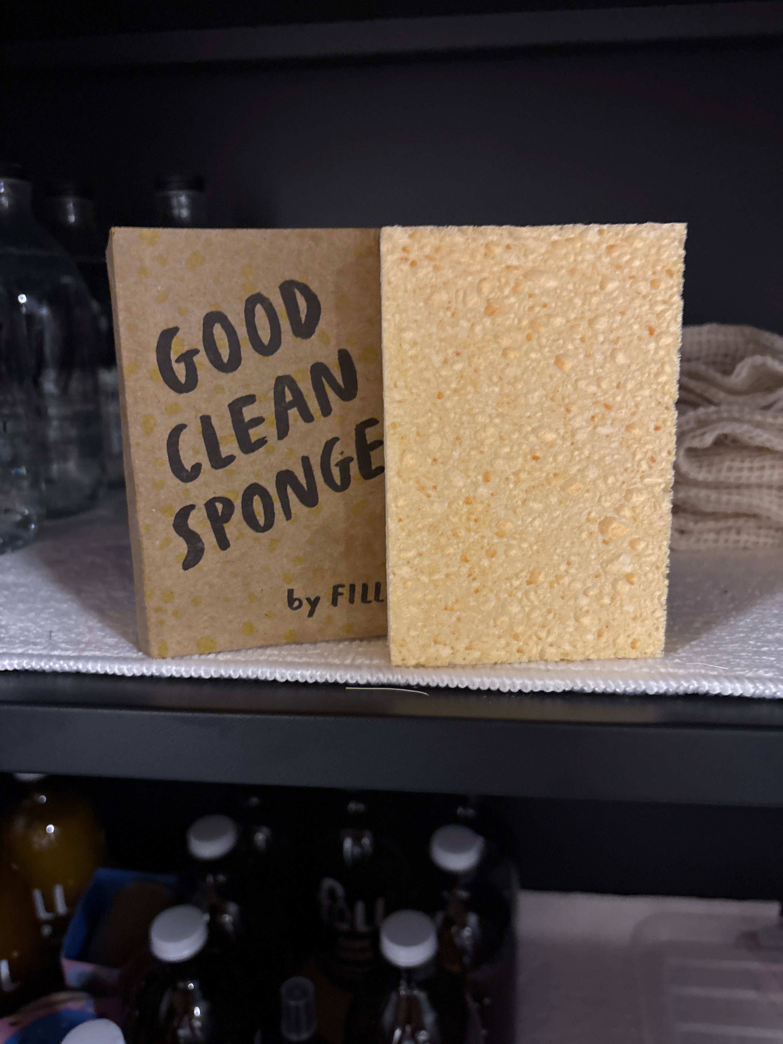 Good Clean Sponge