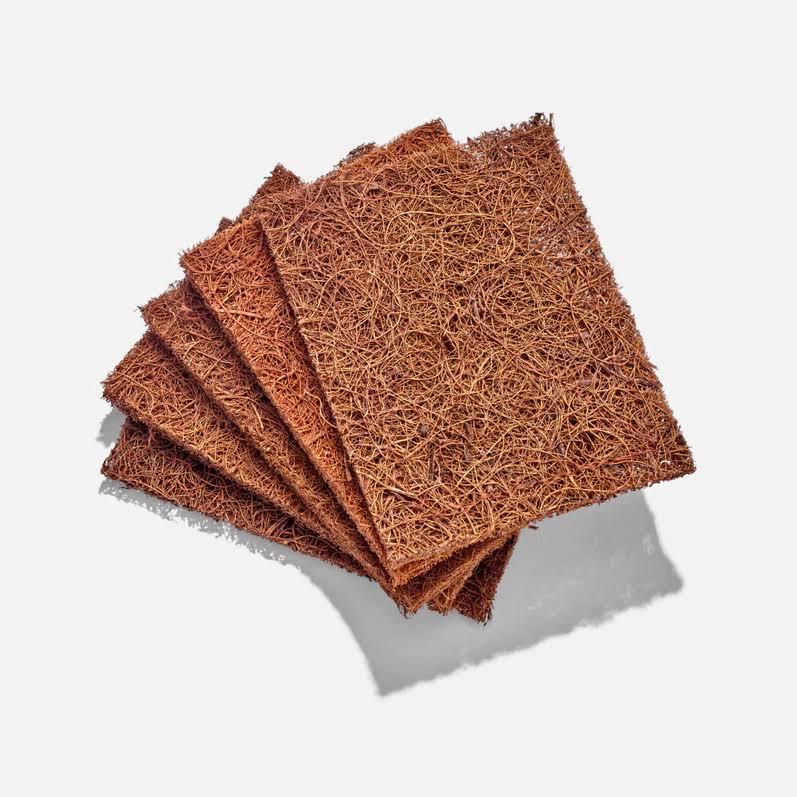 Scourer Coconut - Pack of 5