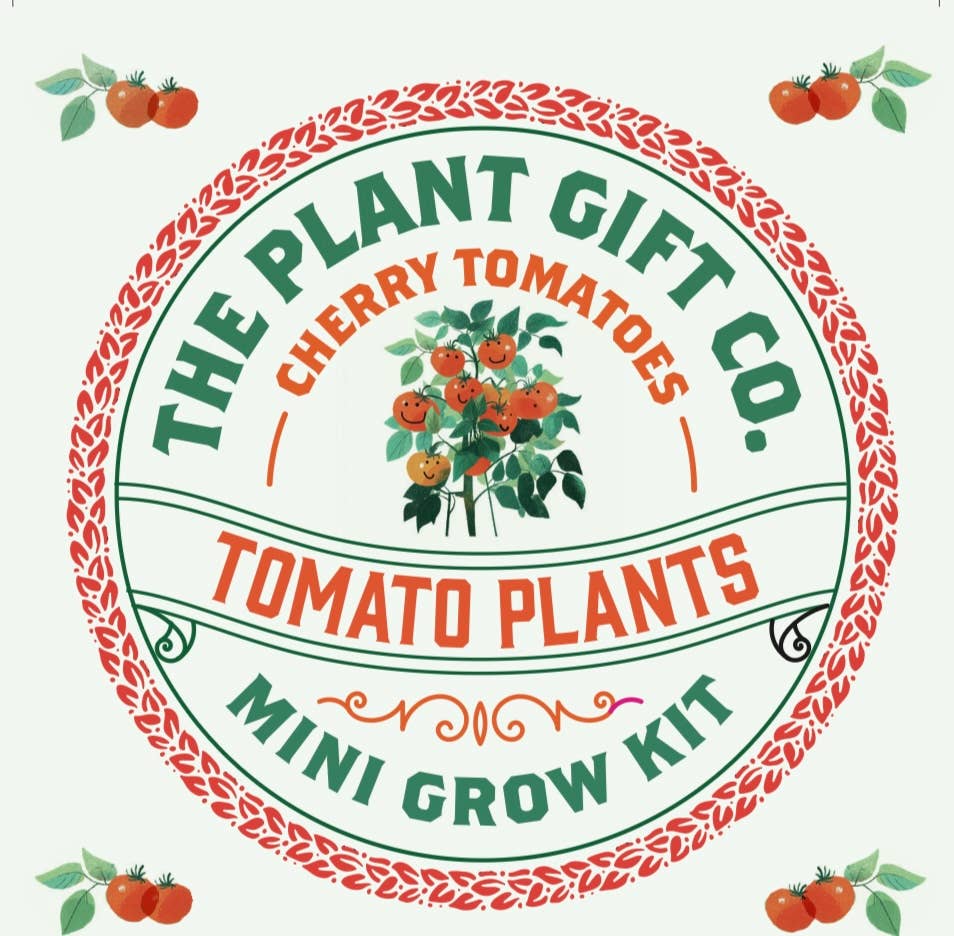Tomato Plants. Eco Mini Plant Grow Kit