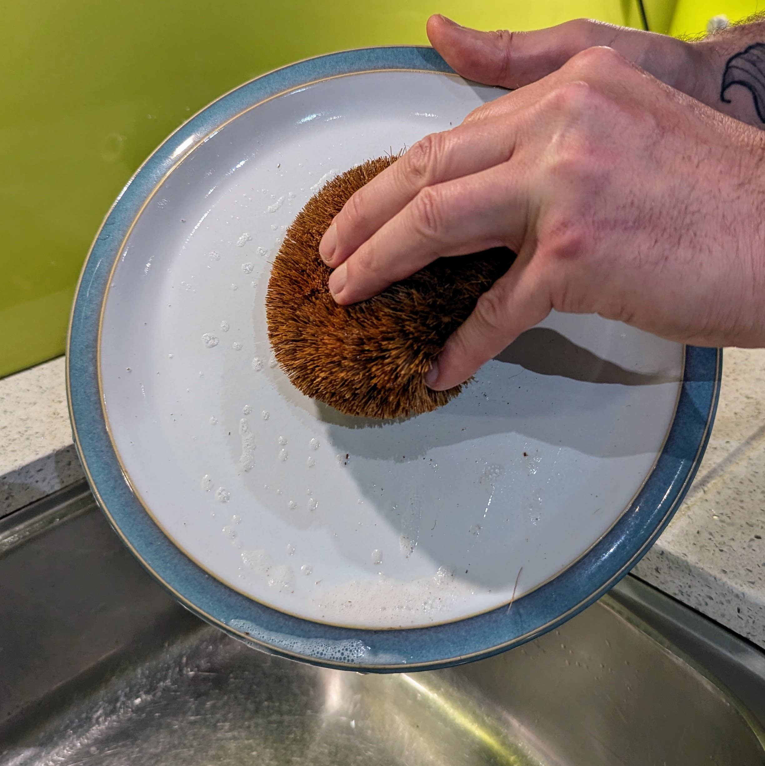 Hedgehog Coconut Scourers (2 pck) | Washing Up Scourers