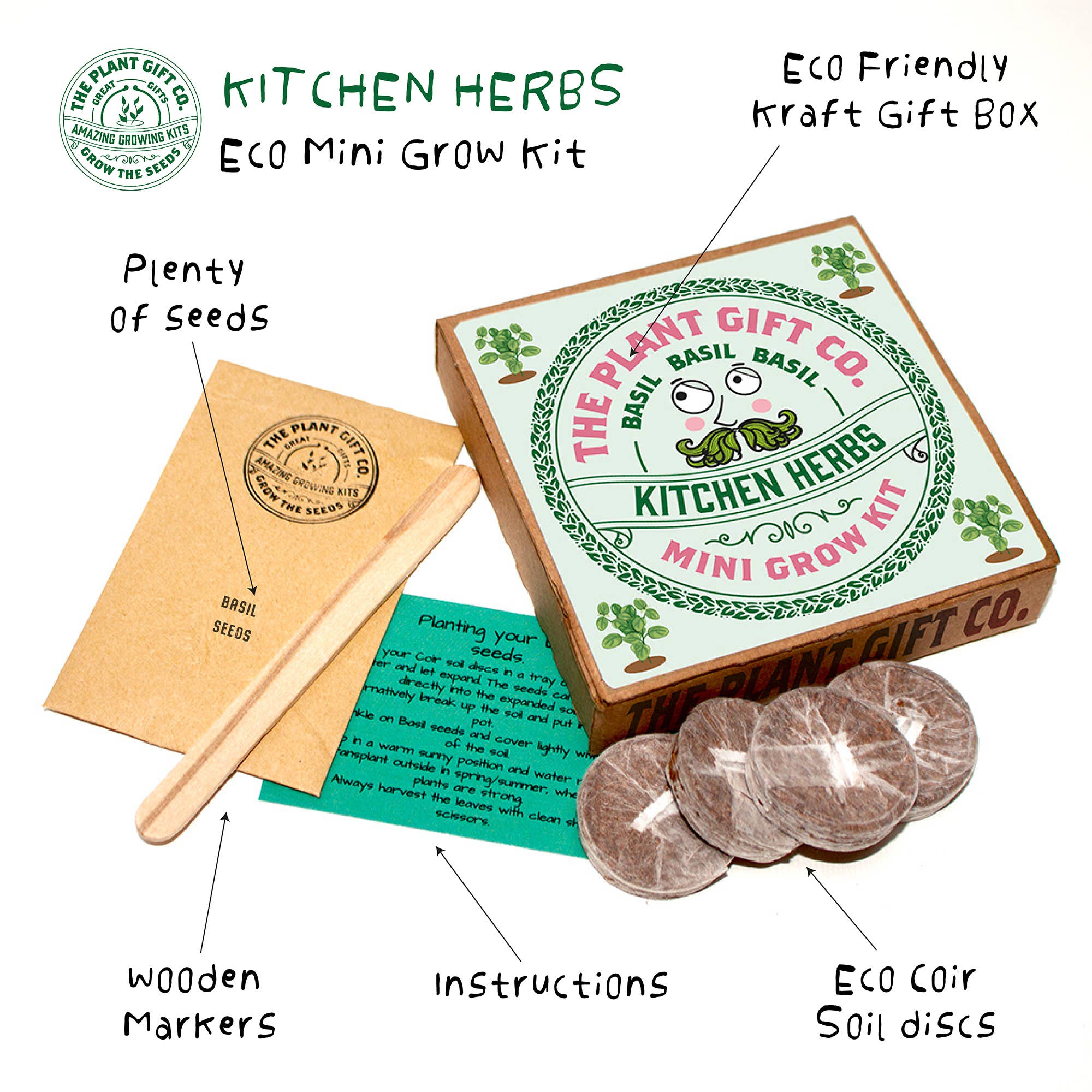 Kitchen Herb. Eco Mini Basil Grow Kit.